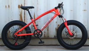 Ready✅ 20 Inch Fat Tire Bike Children Kid Mountain Beach Cruiser Bicycle Folding Carbon Steel Disc Brake Tyre Big Wheel