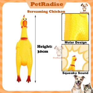 Screaming Chicken Squeaky Toy Dog Toy Bite Dog Chew Toy Puppy Toy Cat Toy Cat Toys For Cats Pet Toy Pet Toys For Cat Dog Toys For Bite 狗狗玩具 宠物玩具 猫玩具