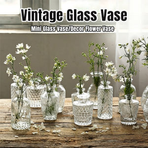 Onisa Vintage Glass Vase Mini Transparent Hydroponic Flower Vase Desktop Home Decor Glass Prop 1Pc