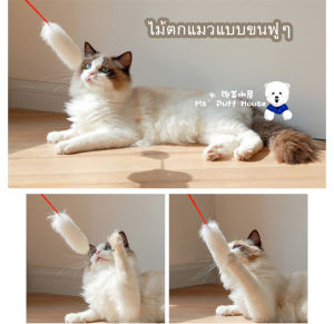 ลูกค้าควรรู้ก่อนลงทะเบียน ของเล่นแมวไม้ตกแมว หรือวิธีการเล่นเล่นแมวไม้ตกแมว ที่นิยมสำหรับน้องแมวของเล่น