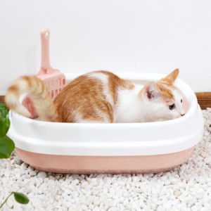 Cat Litter Box With Scoop Kitten Litter Box Cat Toilet Deodorization leakage prevention Litter Box