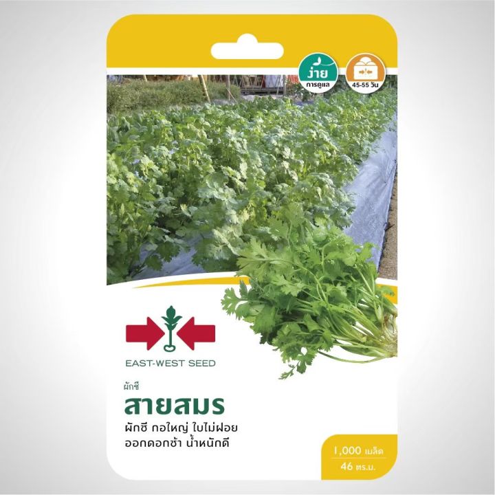 10 อันดับเมล็ดพันธุ์ผักศรแดง ยอดนิยมสำหรับปลูกผักสวนครัว อัปเดตปี 2025