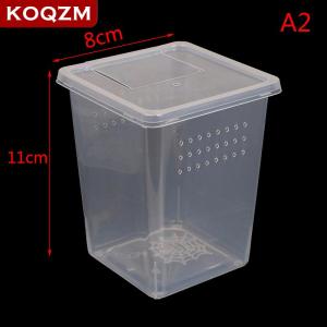 [COD] KOQZM KITCHEN Plastic Insect Spider Habitat Feeding Box Case Container Tank Transport Case Toy