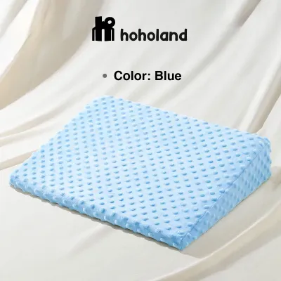 Hoholand Baby Wedge Pillow Anti-Spitting Milk Anti Reflux Colic Cushion Pillow