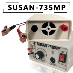 Susan inverter Susan 735mp original pac 12volt setrum platina 2000 watt electronic mixing converter
