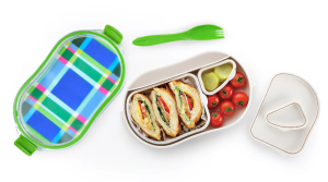 French Bull - Divided Lunch Food Container - Pack and Snack - Bento Lunch Box - Multiplaid