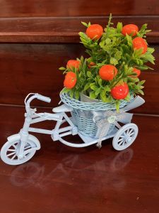ต้นส้มปลอม (ต้นส้มพุ่มสวยๆๆ พร้อมจักรยานสีฟ้า อย่างดี ) สินค้าพร้อมส่งจากไทย ต้นส้มตกแต่ง จักรยานวินเทจงานสวยมากๆๆ