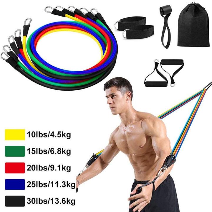 Bộ Dây Kéo Tập Gym 11 Chi Tiết - Dây Tập Thể Hình Nâng Cao (50kg ) Gồm ...