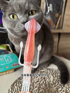 ช้อนส้อมพลาสติกสำหรับปาร์ตี้ใช้ในงานซีฟู้ดช่วยเพิ่มเครื่องใช้ในครัวจับได้แน่นเหมาะสำหรับทำอาหารปิ้งย่างและรับประทานอาหาร