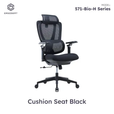 Ergoseat HERO SELECTION Ergonomic Home Office Chair Premium Computer Chair Study Chair with Lumbar Support
