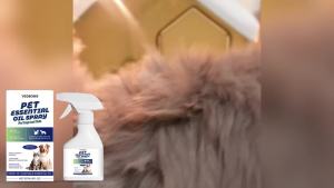 【Ready Stock】Yegbong Essential Oil Spray – Flea & Mosquito Repellent for Dogs and Cats Natural Plant-Based Formula Soothes Itching & Keeps Pests Away Daily Care Mist 237ml