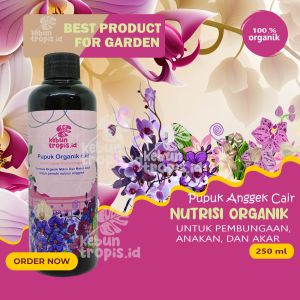 Pupuk Cair Anggrek Agar Cepat Berbunga Nutrisi Anggrek 250 mL Perangsang Bunga Pupuk Semprot Cair Anggrek Pelebat Bunga Dan Daun Terbaik Organik Pertumbuhan tunas dan Bibit Anggrek Obat Anti Perontok Bunga Pupuk Raja Bunga Rajin berbunga Untu