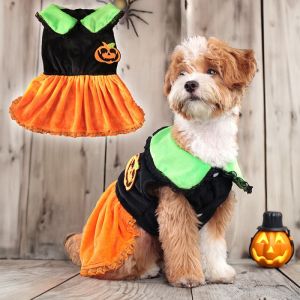 ChicNook ชุดแมวคอสเพลย์ halloween costume dogชุดแมวฮาโลวีน น่ารักน่ารักๆ เครื่องแต่งกายสุนัขฮาโลวีน ลายฟักทองฟักทอง สร้างสรรค์และสร้างสรรค์ เครื่องแต่งกายคอสเพลย์สัตว์เลี้ยง ตลกๆ ฟักทอง/ผี ชุดฟักทองสุนัข ชุดเครื่องแต่งกายสัตว์เลี้ยง