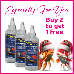 AQUA MASTER Fish Water Conditioner Instantly Removes Harmful Chlorine 200ml And Free 50ml