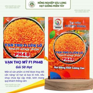 Gói 50 Hạt Vạn Thọ Mỹ F1 PH48 – Cam Đỏ Cổ Lùn Cao 40–45cm
