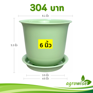 กระถาง กระถางต้นไม้ มินิมอล ถ้วยจีน+จาน ขนาด 6 นิ้ว สีเขียวพาสเทล 10 ใบ ชิ้น อัน