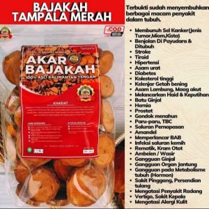 JAMU Akar Kayu Bajakah Asli Kalimantan Original PREMIUM  Bajaka Bajakan Merah Super  HERBAL