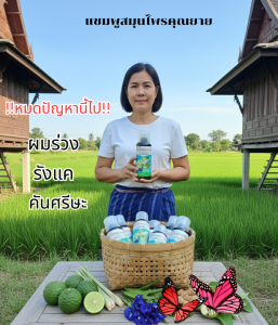แชมพูสมุนไพรคุณยาย ของแท้ สำหรับคนหัล้าน ผมร่วง รากผมไม่แข็งแรง 1 ขวด 250 ml.