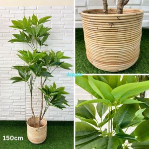 Pohon Hias Tanaman Artificial Daun Manggis T150 & T170 Latex Cover Pot Anyaman Rotan Bulat Ulir Pajangan Dekorasi Kantor