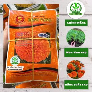 Hạt Giống Hoa Vạn Thọ Mỹ F1 Cao Lỡ Cam Đỏ OR-004 RỒNG VÀNG (Gói 1gr) - Date mới