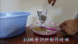 เครื่องแปรรูปอาหารสัตว์เลี้ยงแบบแมนนวลเครื่องอัดเม็ดอาหารในครัวเรือน Feed Extruder Processing Tool