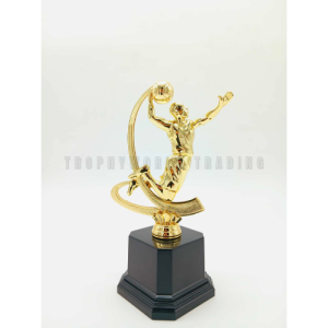 Universal Human Plastic Gold Trophy Height 21cm (192)( Customize Available )