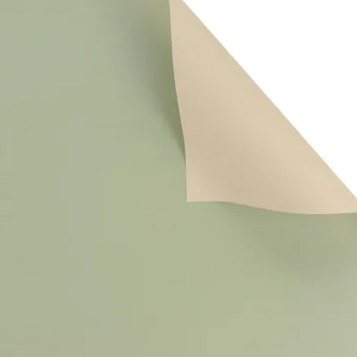 J (20 miếng/gói)Giấy gói hoa phong cách Hàn Quốc 58X58 cm(2 mặt 2 màu trơn) CINDY