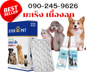 สินค้าขายดี !!! สเตอร์เพ็ท STERPET มะเร็ง เนื้องอก แผลอักเสบ สร้างภูมิคุ้มกัน ให้กับน้องหมา น้องแมว ที่คุณรัก พร้อมส่งในไทย