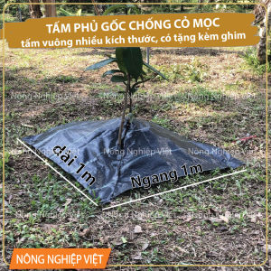 5 - 10 Tấm Phủ Gốc Cây Chống Cỏ 2m x 2m + 50 Ghim Cố Định – Bạt Diệt Cỏ HDPE Dày Giữ Ẩm Tốt