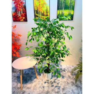 Cây si giả - Size từ 120cm đến 150cm -  Cây giả hoa lụa trang trí nhà cửa
