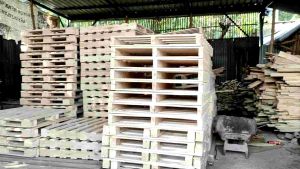 Pallet Kayu Sengon Laut Albasia Baru Ukuran 60×60×13cm Dipan Tatakan BarangDecorasi Cafe Hiasan Ruangan Dll