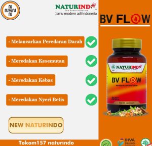 Bv Flow obat herbal pelancar darah tersumbat pengencer darah kental