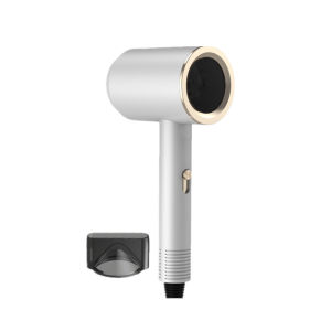 AE Manufacturers high-power high-speed strong airflow silent hair dryer for home use negative ion long-handled electric hair dryer