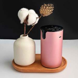 Portable Dual Nozzle Essential Oil Diffusing Nebulizer Rechageable Waterless Aromarepay Diffuser for Car Home Office YOGA Room