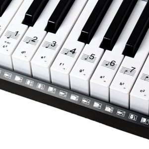 49/61/76/ 88 Key Piano Sticker Keyboards colorful Transparent Black keys Removable Piano Stickers