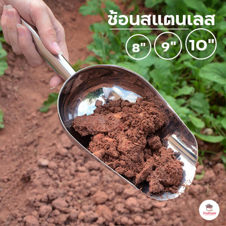 ช้อนปลูกสแตนเลสสำหรับทำสวน ทนทาน