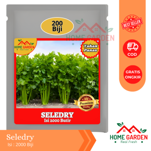 Benih Bibit SeledriI Dataran Rendah 2000 Biji Seledry Daun Sup