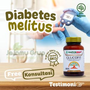 Obat Penurun Kadar Gula Darah Tinggi Diabetes Melitus Kering Basah Kembali Normal Glucofit Herbal