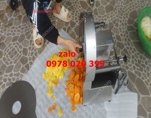 Máy cắt củ quả đa năng thái  mướp đắng phơi khô