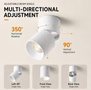 Tuya ZigBee 3.0 Smart Surface Spotlight 12W CREE LED CCT Dimmable Ceiling Light