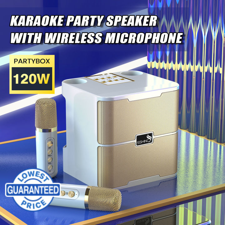 120W Portable Professional Karaoke Dual Microphone Wireless