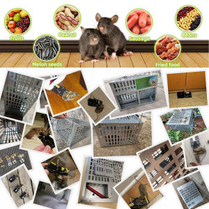 IRONBOX [READY STOCK] Newly Mouse Cage Trap Multi-Catch / 2 doors Rat Cage Mouse Trap Perangkap Tikus Sangkar tikus Mouse Snap Trap Rat trap Reuseable Sensitive Independent Bait Area Retractable Handle For Rats Squirrels Chipmunks Weasels Rodent