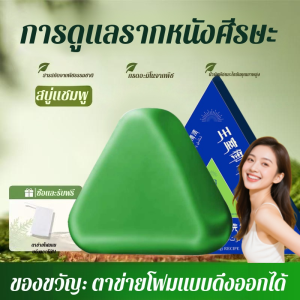 สบู่แชมพูใบอาร์เบอร์วิเททำมือ สบู่แชมพูหญ้าซินเจียงอุสมาน สบู่ก้อนแข็ง ป้องกันผมขาดหลุดร่วง ควบคุมความมัน ขจัดรังแค