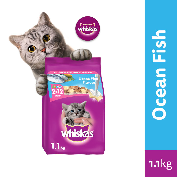 Whiskas milk for sales cats