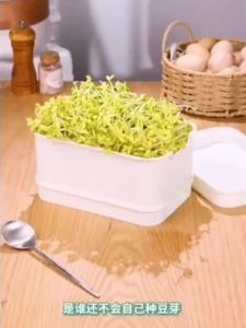 水培豆芽育苗盘家用自动发芽工具室内种植蔬菜神器 Sprouts Growing Tray Indoor Gardening Tool Auto-Germination Plate Bean Sprouts。。。