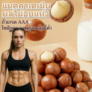 ถั่วรสเนยแมคคาเดเมีย 250 กรัม ขนมขบเคี้ยว เนย ถั่ว ขนมขบเคี้ยวแคลอรีต่ำ ถั่วไขมันสูงคุณภาพสูง อาหารทดแทนแคลอรีต่ำ แมคคาเดเมีย