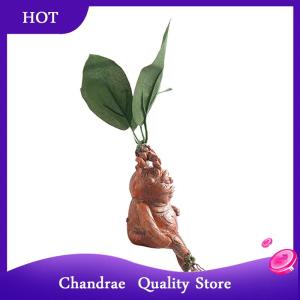 [Chandrae] Mandrake หญ้าเรซิ่นรูปปั้นภูมิทัศน์เครื่องประดับศิลปะ Figurine งานฝีมือสำหรับสวน
