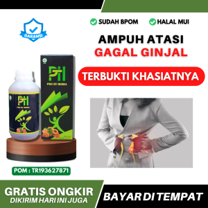 Obat Gagal Ginjal Urin Berbusa Sakit Pinggang Obat Ginjal Tanpa Operasi Obat Ginjal Resep Dokter Obat Ginjal Tanpa Cuci Darah Obat Ginjal Alami PRO DT Herba BPOM 300gram Original
