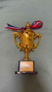 Customizable 1/3/5 PackKids Gold Trophy Award Small Plastic 7 Inch Soccer Trophy Cup for Winners and Sports Kids