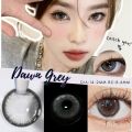 [COD] MYSTICEYES SOFTLENS DAWN GRAY NORMAL S/D MINUS -6.00 14.5 MM. 
